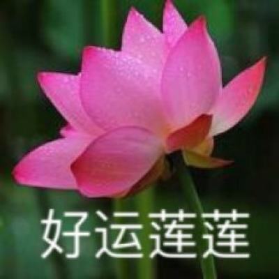 游戏蜂窝钥匙免root最新版下载