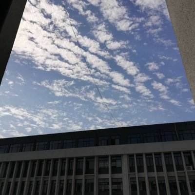 百恋成仙网易版下载